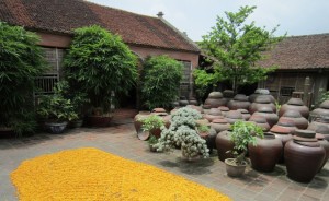 maison-traditionnelle-vietnamienne-a-Duong-Lam