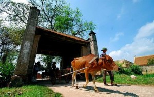 village-de-duong-lam-au-vietnam