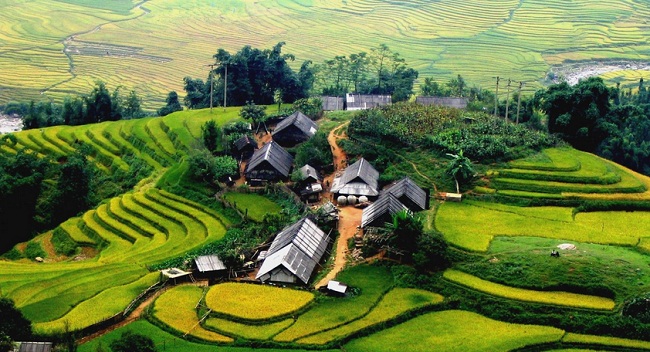 beax-paysages-a-sapa-vietnam