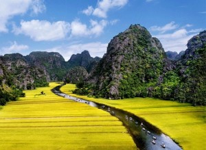 belle-riziere-au-vietnam
