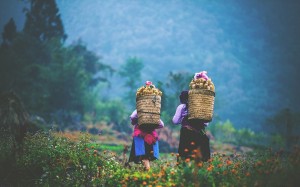femmes-ethniques-a-ha-giang