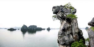 l-ile-du-chien-baie-de-halong