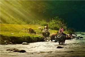 randonee-a-maichau-nord-vietnam-photo