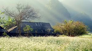 ville-de-sonla-vietnam