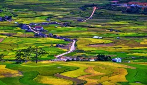 belle-riziere-du-vietnam