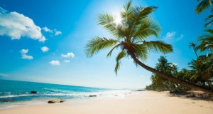 plus-belle-plage-vietnam