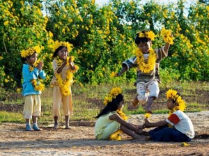 belles-photos-de-dalat