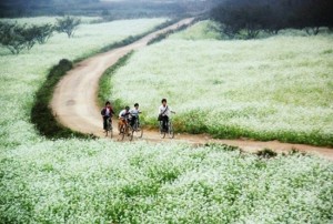 que-faire-hoa-binh-vietnam