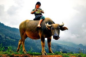 circuit rencontre vietnamienne photo
